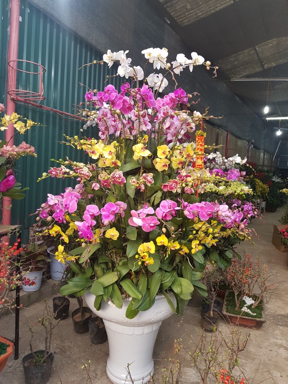 z7368525189520_867513cccbccd31944d289bced710c82