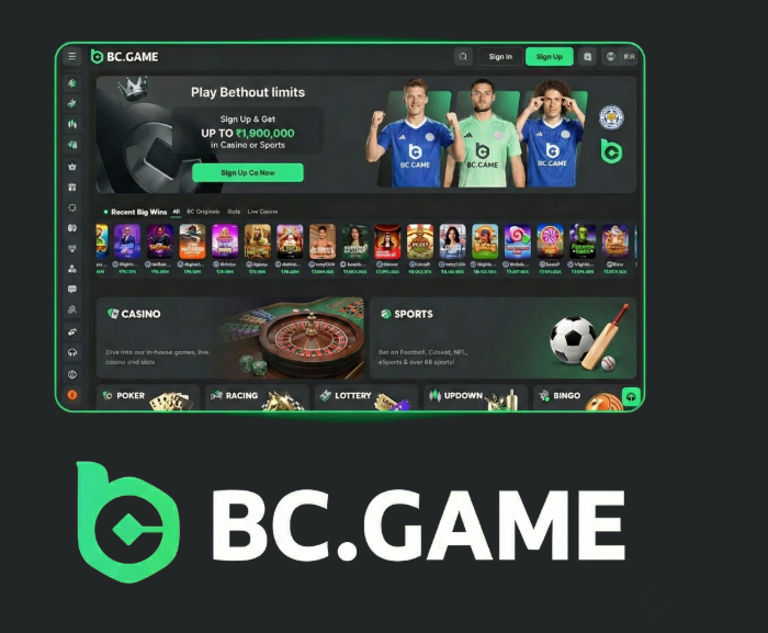Exploring BC.Game Platform in Kazakhstan A Comprehensive Guide